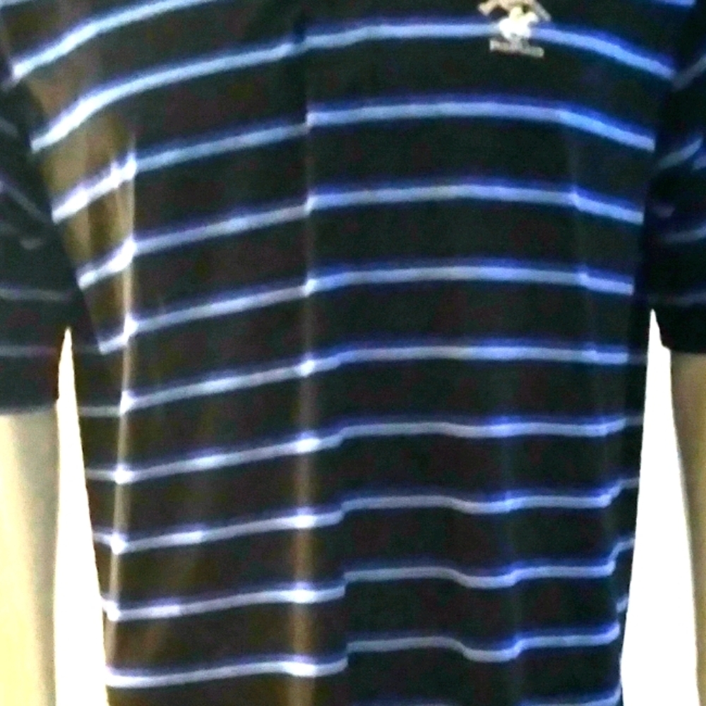 Mens Large Beverly Hills Polo Club Blue and black